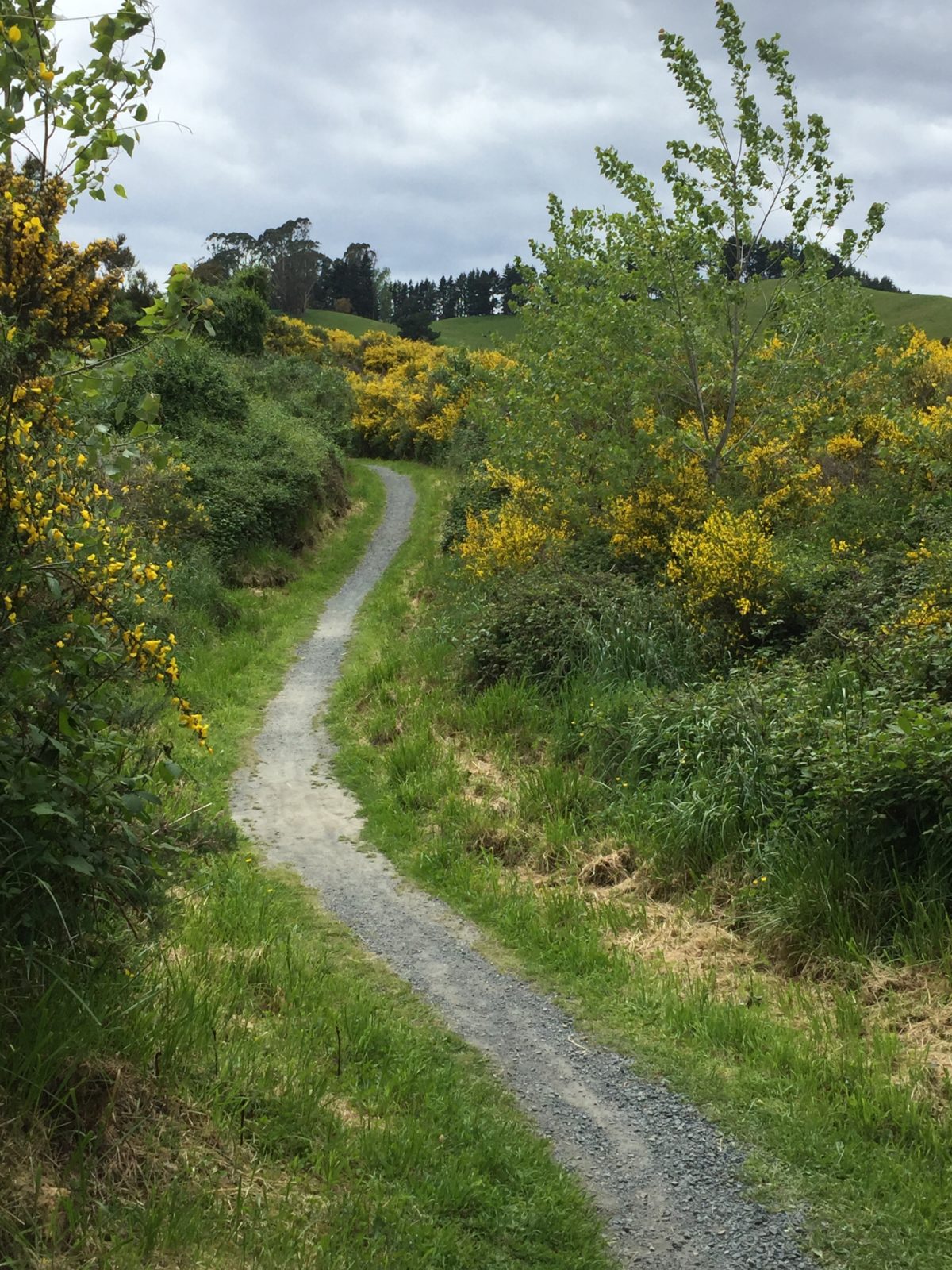 path uphill through fields