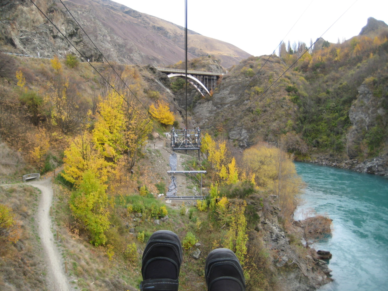 zipline in NZ