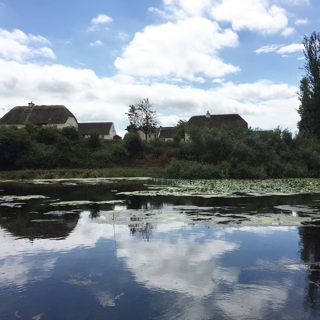 thatched roofs and a pond