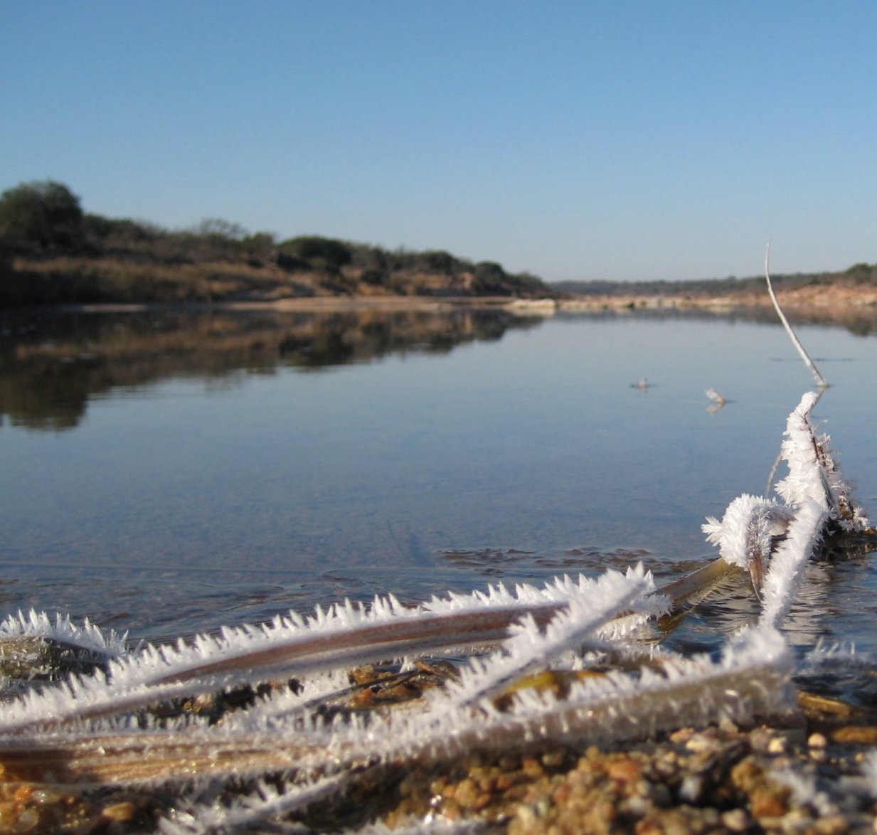 river with icy branches