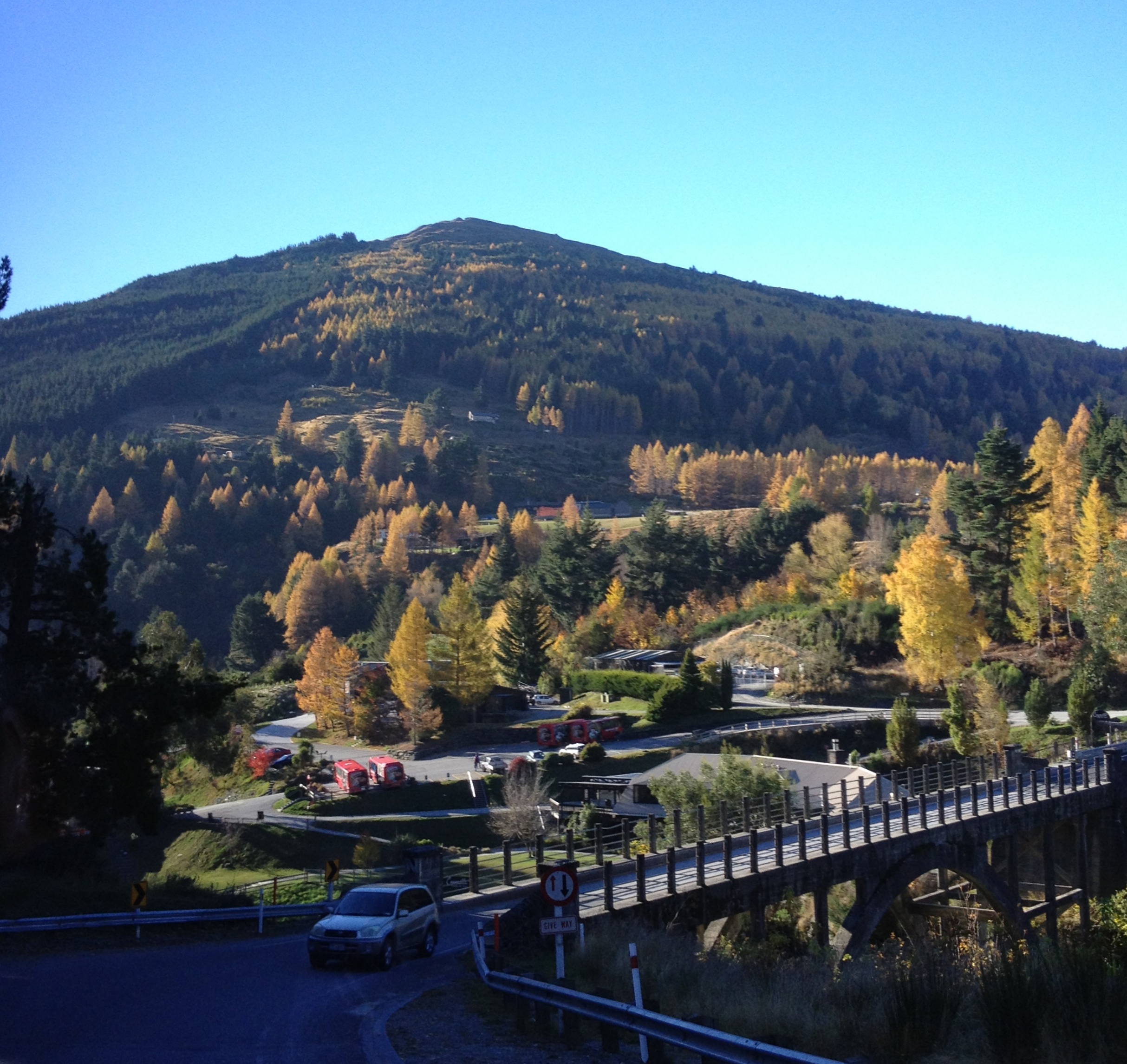 Autumn colors in NZ