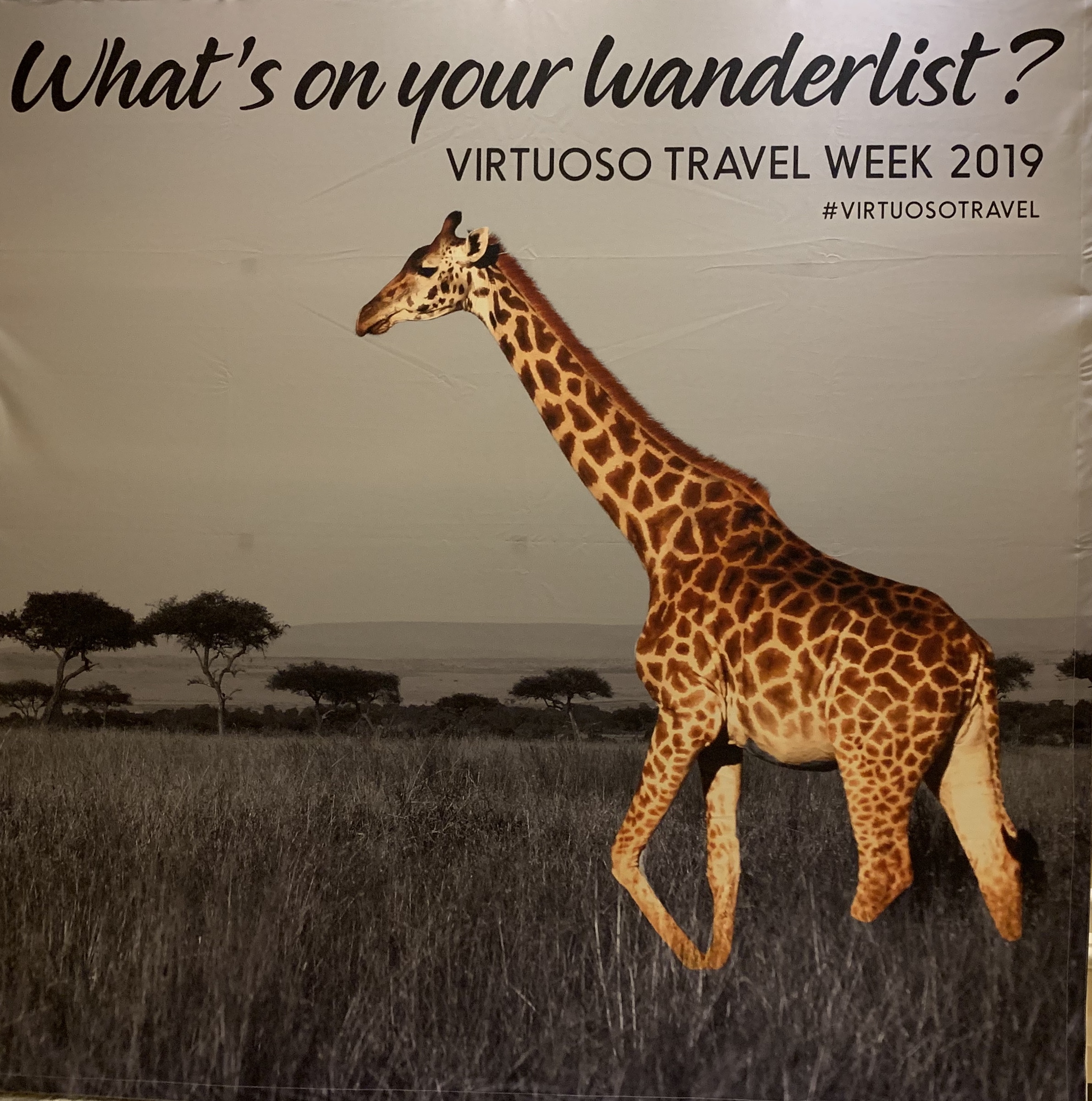 Wanderlist Giraffe