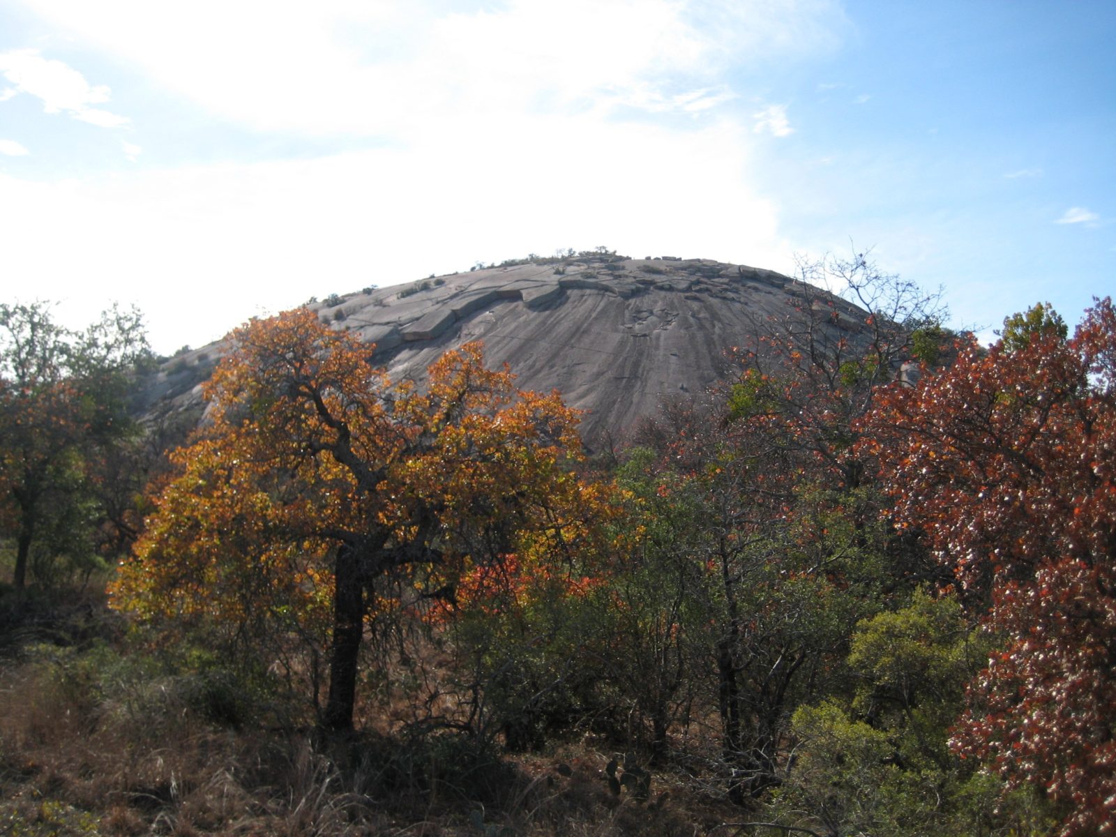 trees and rock in Texas