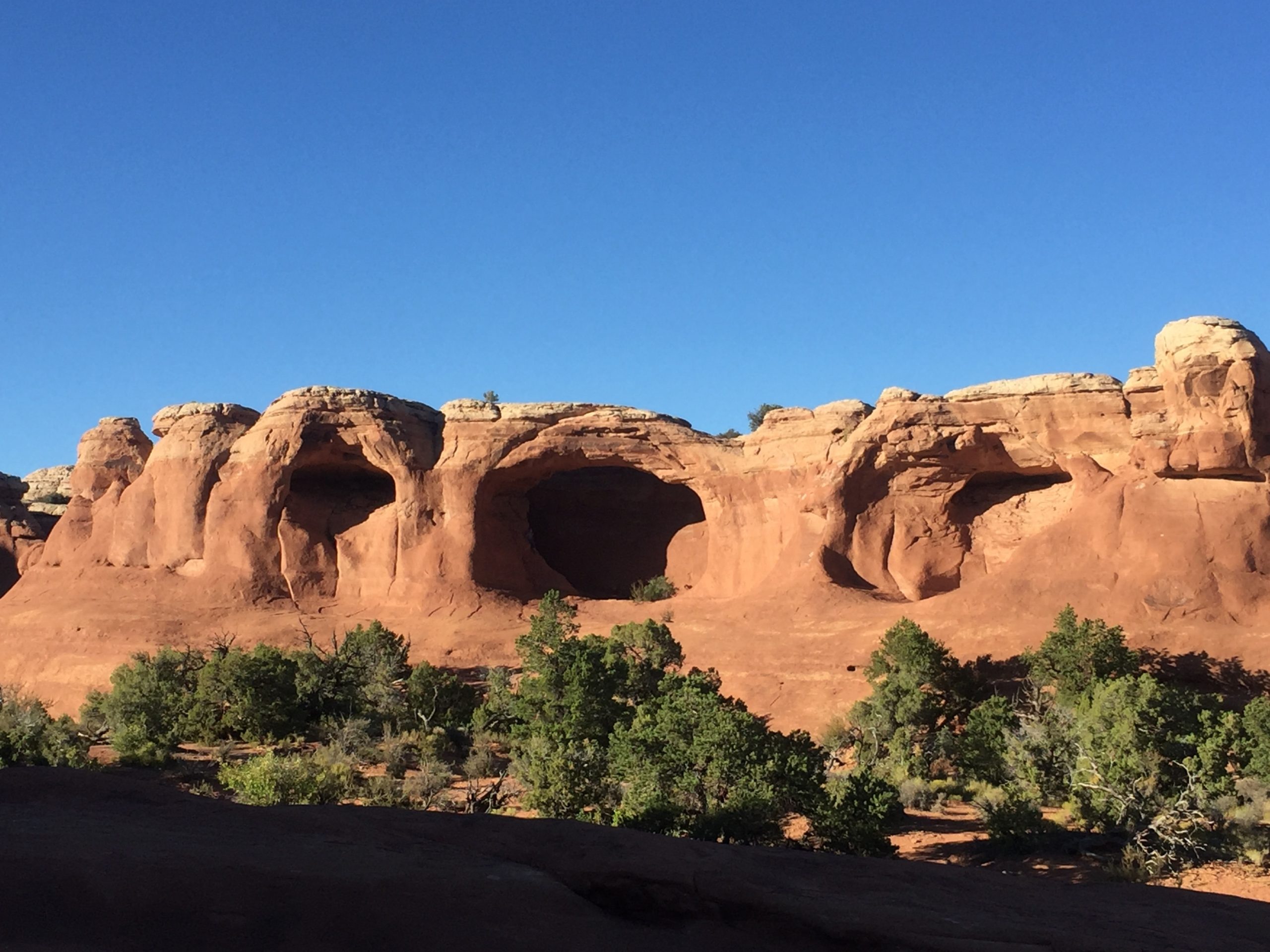 curved rocks in Arches National Park