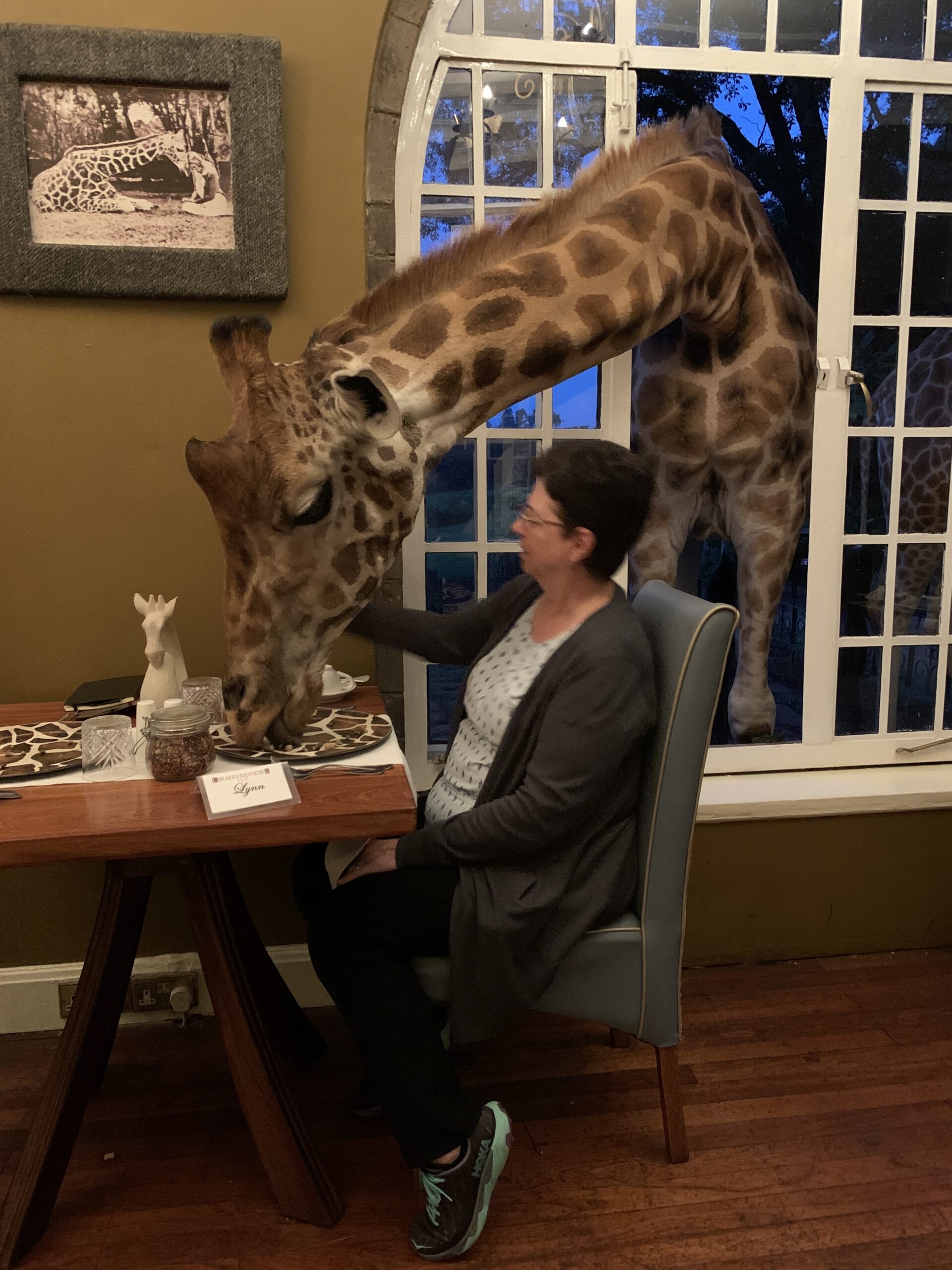 breakfast with giraffe