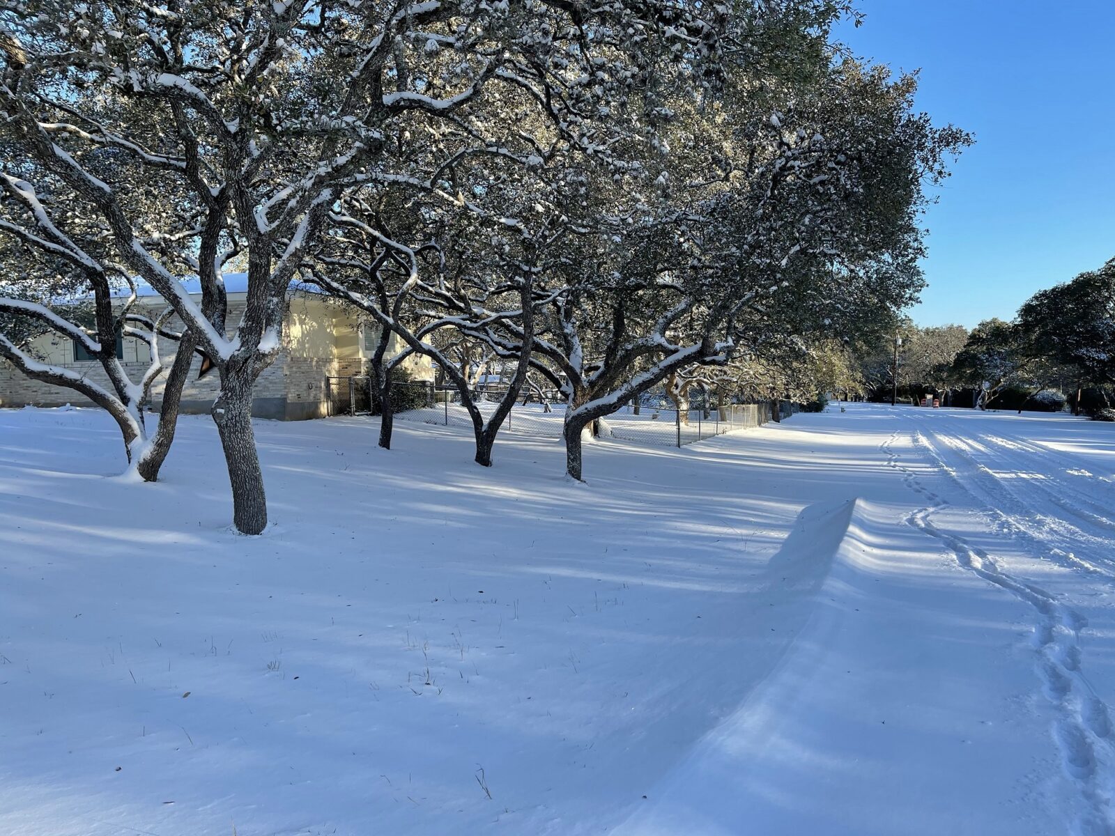 snow on the street