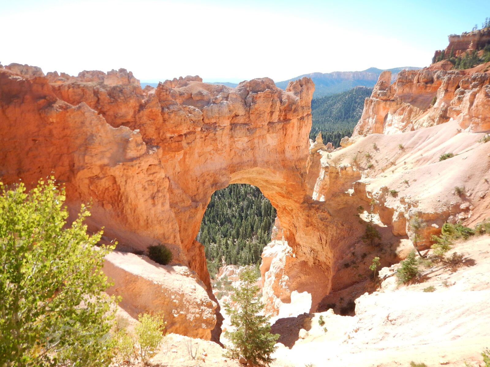 Natural Bridge Bryce Canyon UT