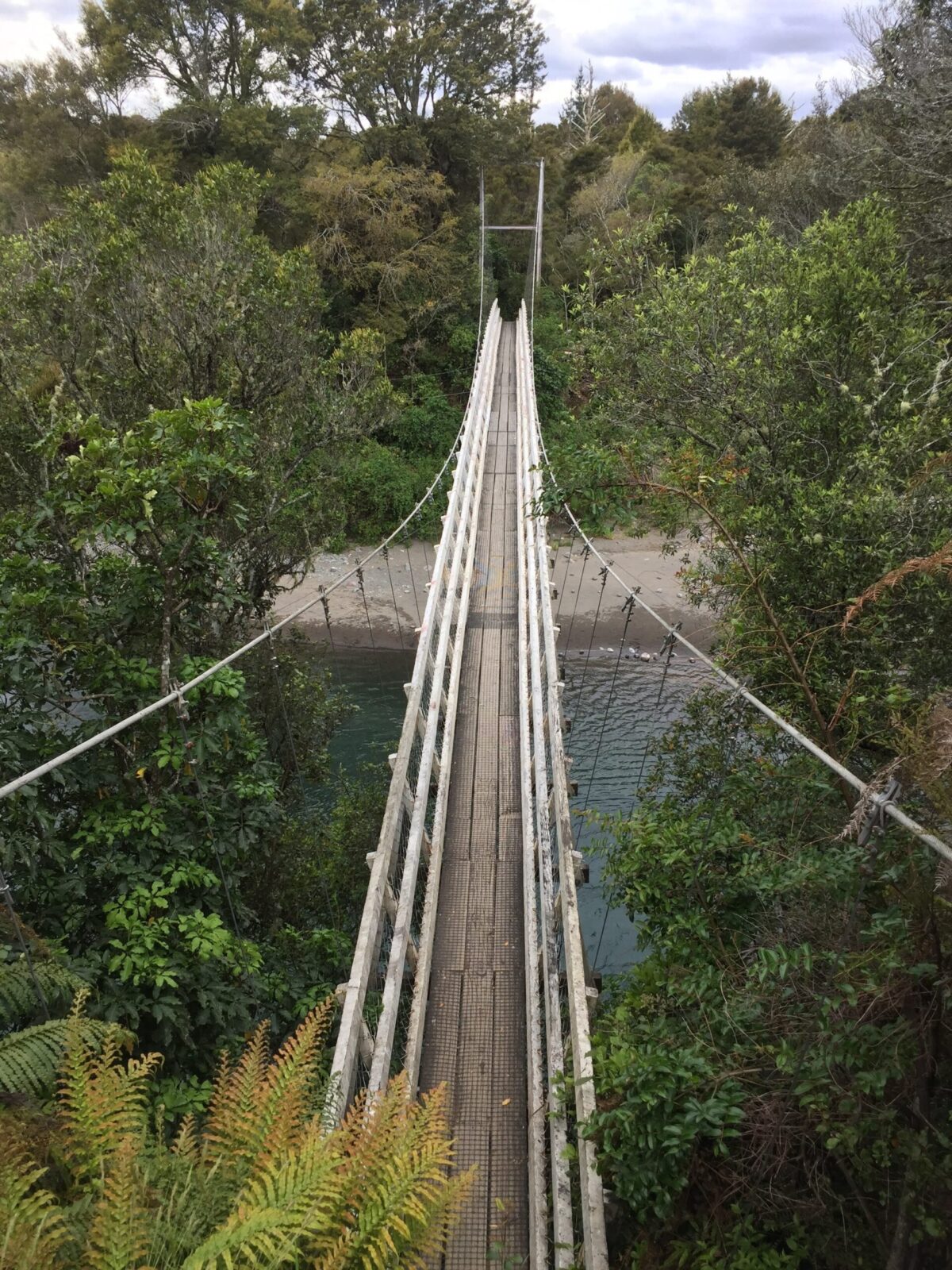 suspension bridge in NZ