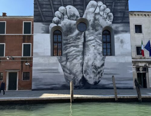 Wander Wednesday-21 May 2025